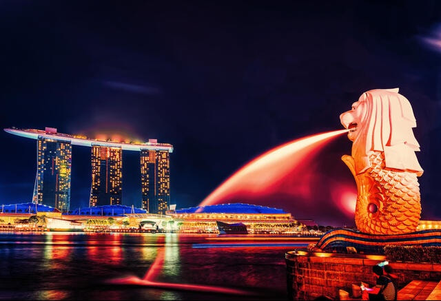 Set Up a Company in Singapore